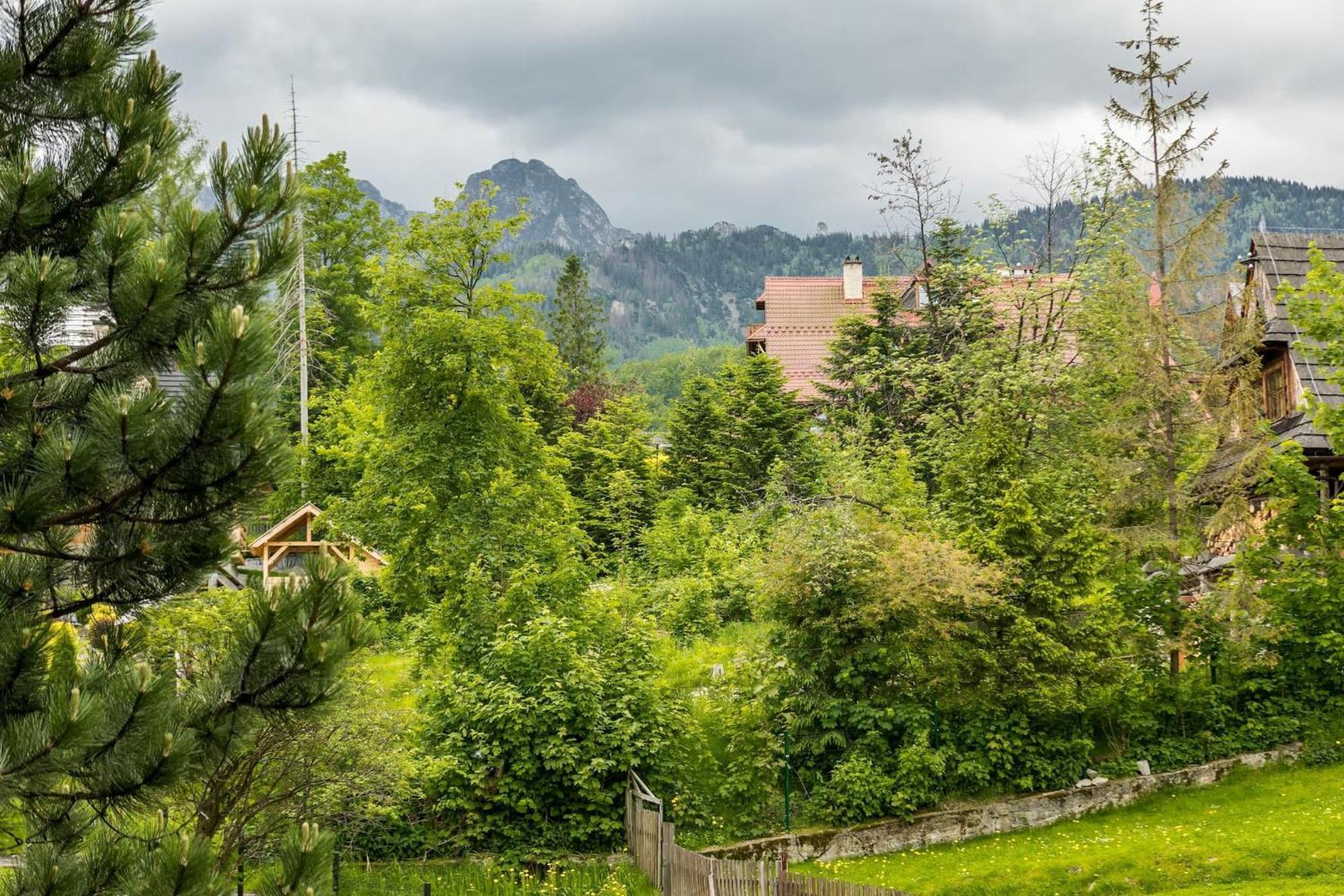Rent Like - Krzeptowskiego * Zakopane